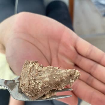 Seyidoğlu Gıda Seyidoğlu Helvanın İçinden Kıl Çıktı