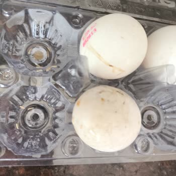 Antalya Migros Hemen Kurtlanmış Yumurta Faciası