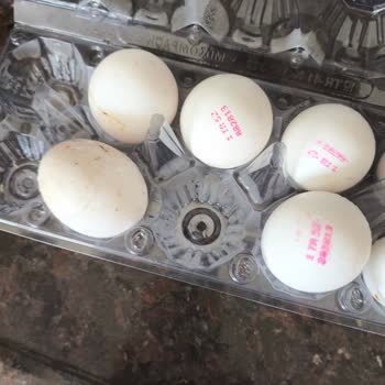 Antalya Migros Hemen Kurtlanmış Yumurta Faciası