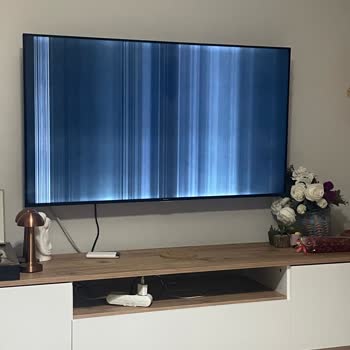 Sunny Televizyonum Ekranı Gitti