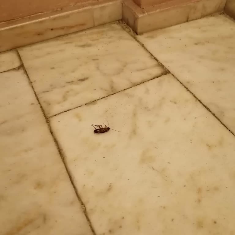 Banu Hotel Luxury Sınıfta Kaldı