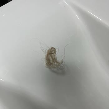 Beaver Beauty Şampuan Saç Döküyor!