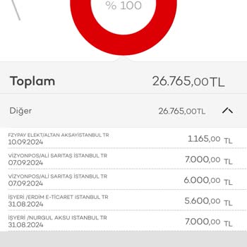 VizyonPos Kredi Kartı Ödemesi