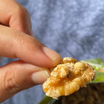 BİM Simbat Küflenmiş Ceviz Paketi