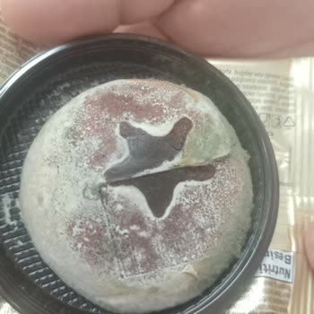 Şölen Çikolata İnsan Sağlığıyla Kötü Oyun