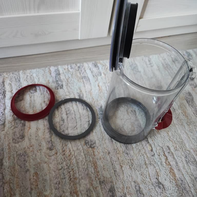 Dyson Toz Haznesi Kırmızı Lastik Kronik Problemi