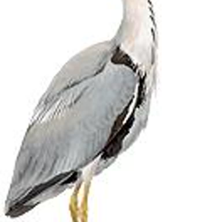 Ziraat Bankası ATM Si 2100 TL Paramı Yuttu