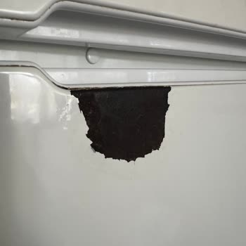 Bosch Marka Buzdolabı Çürüyor