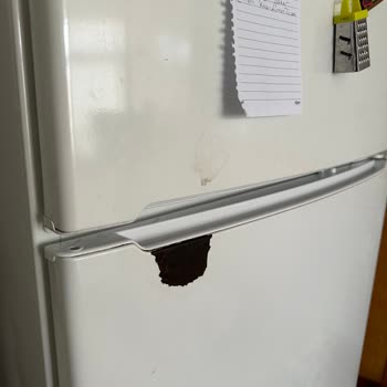 Bosch Marka Buzdolabı Çürüyor