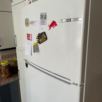 Bosch Marka Buzdolabı Çürüyor