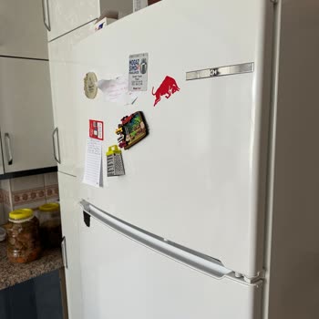 Bosch Marka Buzdolabı Çürüyor