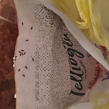 Tellioğlu Şirketler Grubu Unun Siyah Ve Beyaz Olarak Böceklenmesi