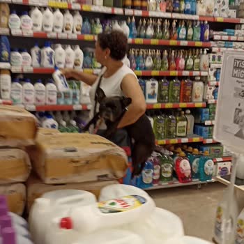 Migros Markette Köpekle Alışveriş Yapılması