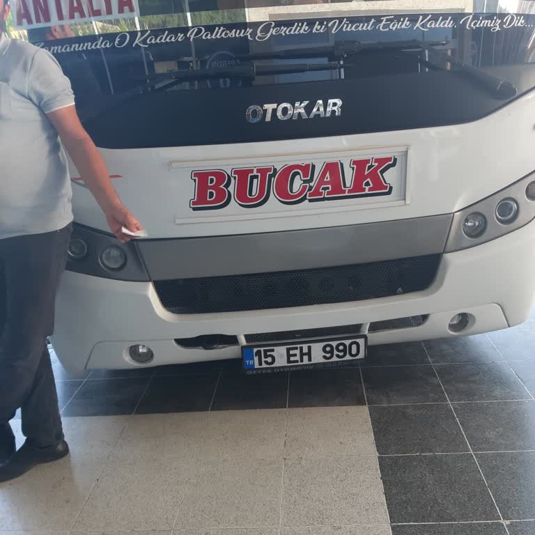 Bucak Seyahat Engelli Kedimize Yolculukta Engel Çıkarıldı