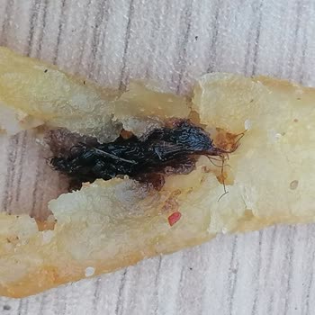 BİM Patates İçinden Böcek Çıktı