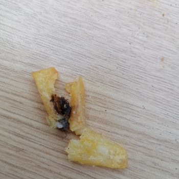 BİM Patates İçinden Böcek Çıktı