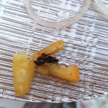 BİM Patates İçinden Böcek Çıktı