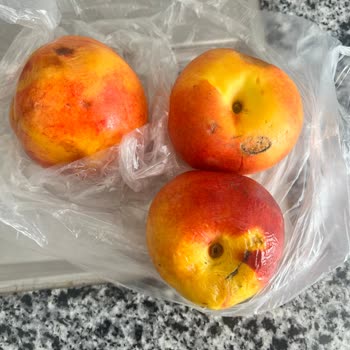 Migros Eksik Ürün Ve Bozuk Meyve Gönderiler