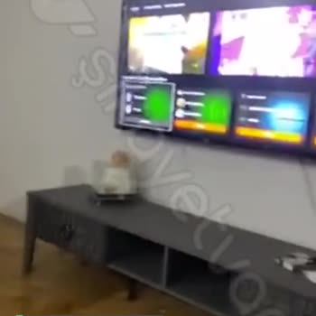Tod TV Yine Mahcubiyet!