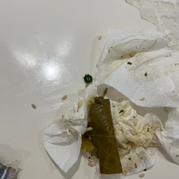 Burcu Gıda Yaprak Sarmasında Böcek Şoku!
