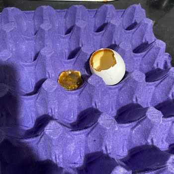 Cepte Şok Alışverişinde Çürük Yumurta Problemi