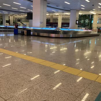 Türk Hava Yolları Kayıp Bagaj