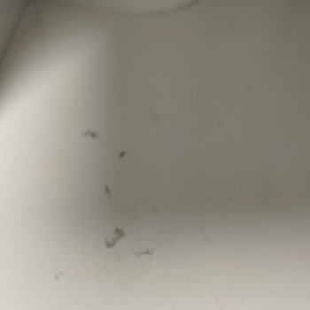 Arçelik Kurutma Makinesi Toz ve Islaklık Sorunu