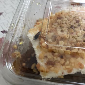 Köfteci Yusuf'ta İki Kez Yemekte Hamam Böceği Çıktı