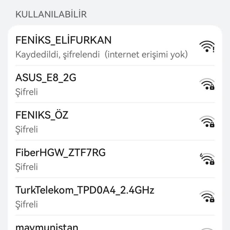 Feniks İnternet İnternet Erişim Yok