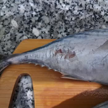 Carrefour SA Sefaköy'den Aldığım Balıkların Bozuk Olması