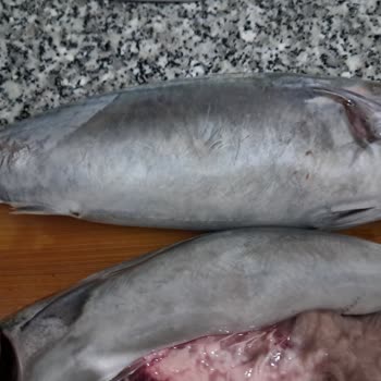 Carrefour SA Sefaköy'den Aldığım Balıkların Bozuk Olması