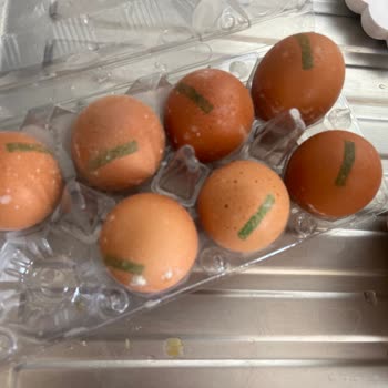 Umay Çiftliği Yumurta