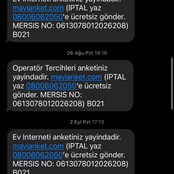 Mavi Anketin Sonu Gelmeyen Mesajları
