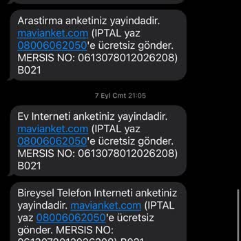 Mavi Anketin Sonu Gelmeyen Mesajları