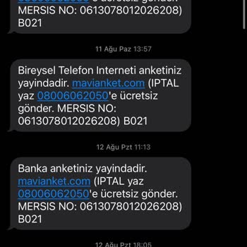 Mavi Anketin Sonu Gelmeyen Mesajları