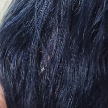 Palette Boya Renk Hatası