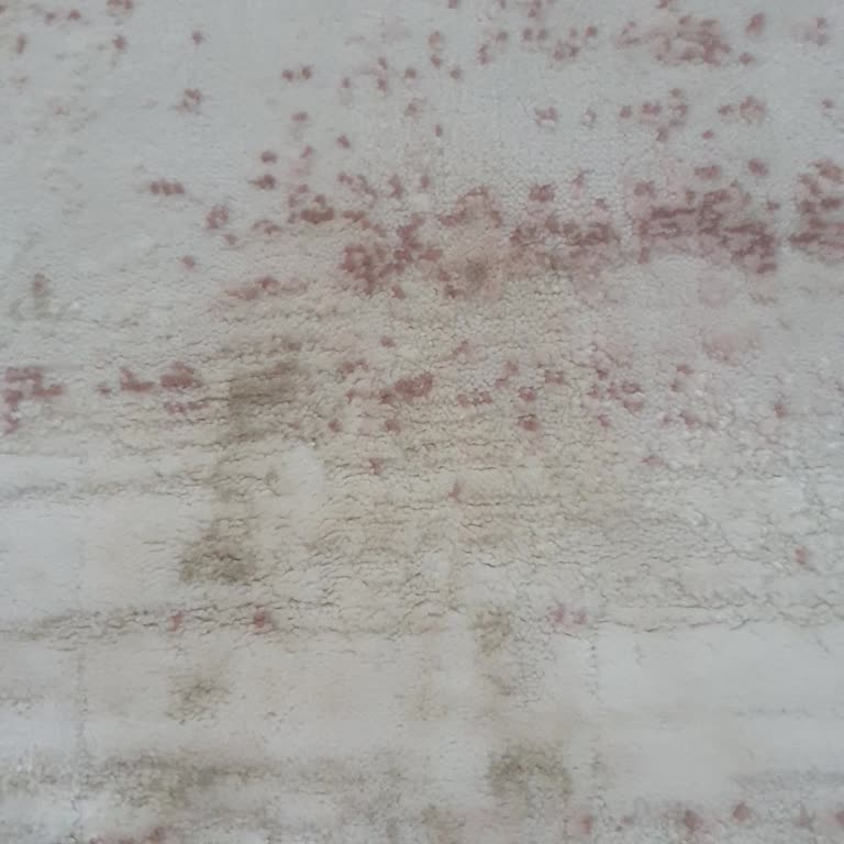 Aydın Clean Pişmanlıktır