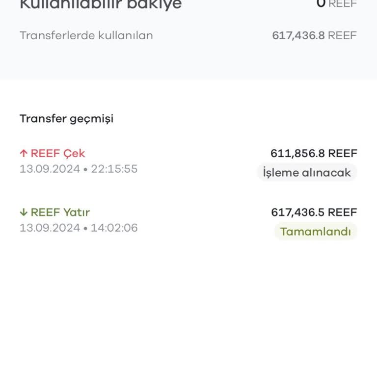 Paribu'da Reef Coin Çekim Sorunları Ve Güven Eksikliği