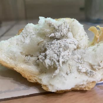 BİM De Kurtlu Ekmek