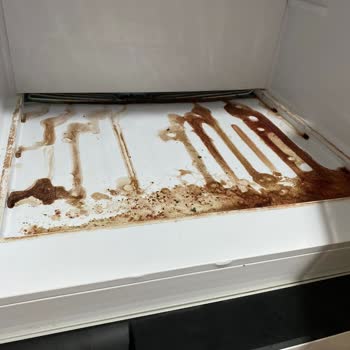 Arçelik Buzdolabında Yaşanan Sorun ve Müşteri Hizmetleri İlgisizliği