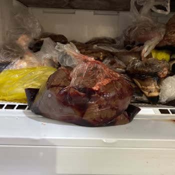 Arçelik Buzdolabında Yaşanan Sorun ve Müşteri Hizmetleri İlgisizliği