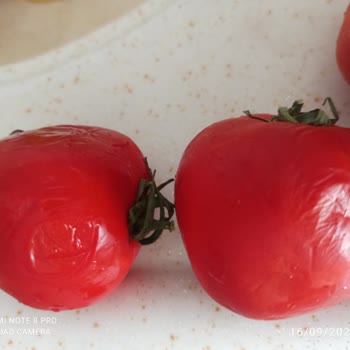 Kent Gross Toptan Market Kalitesiz Ürünler Sorunu!