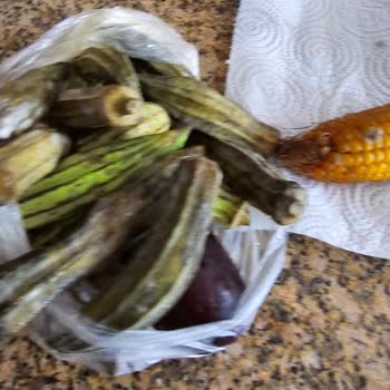 Arçelik Buzdolabı Yiyecekleri Çürütüyor, Servis Sorunu Çözmüyor