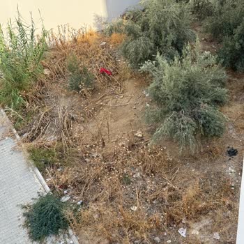 Toroslar Belediyesi Çevre Temizliği Ve Bakımsızlık