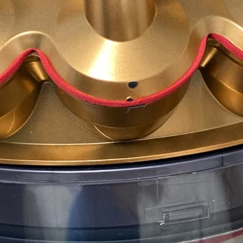 Dyson Pişmanlığı Bir De Yalancı Oldum