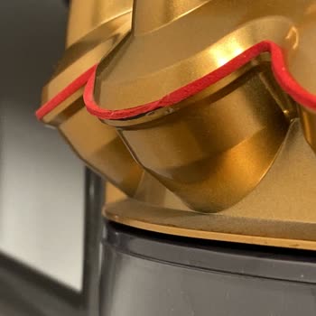 Dyson Pişmanlığı Bir De Yalancı Oldum