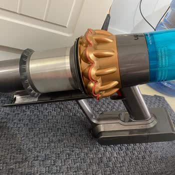 Dyson Pişmanlığı Bir De Yalancı Oldum