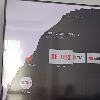 Vestel Televizyon Ekranında Soyulma
