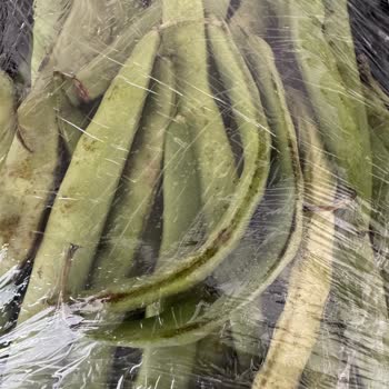 Migros Bodrum Midtown Macro Center'da Hayal Kırıklığı Yaşatan Sipariş Deneyimi