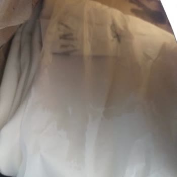 Sende O Kargo Şikayet